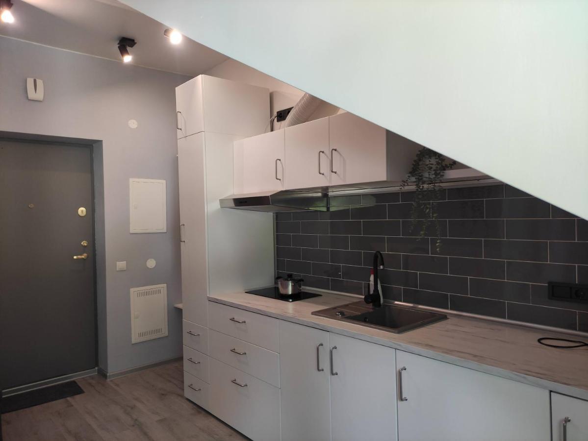 Cosy Apartments In Vilnius Center المظهر الخارجي الصورة